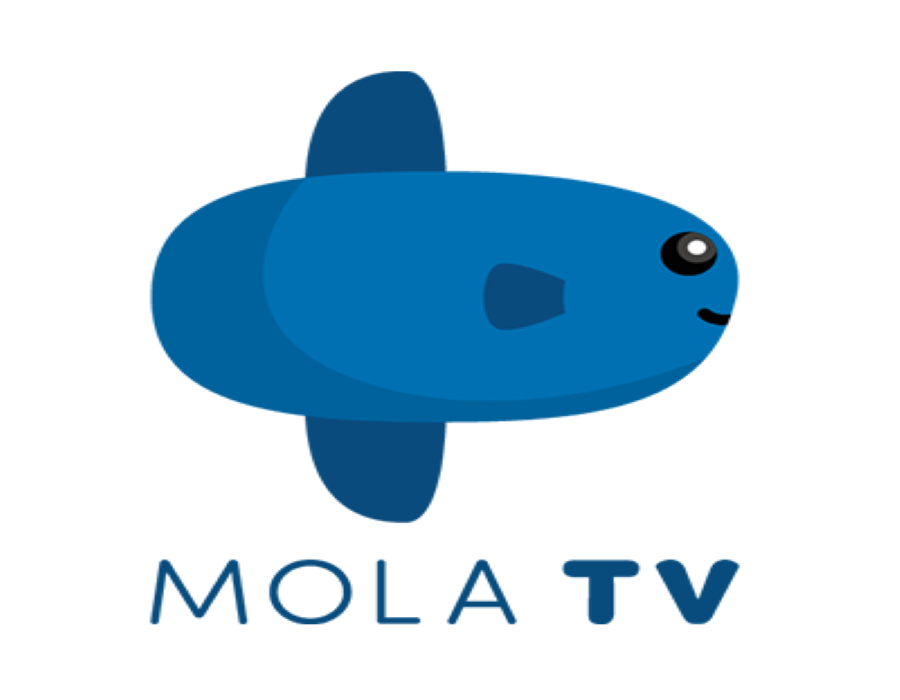 Mola TV Apk, Ini Dia Cara Berlangganan dan Keuntungannya!