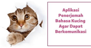 Aplikasi Penerjemah Bahasa Kucing